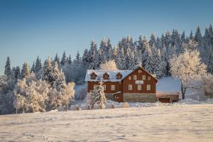 Hotel Jizerka 4 en invierno