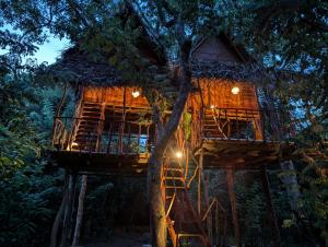 a tree house in a forest at night at Atha Tree House in Habarana