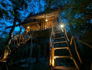 a tree house at night with a ladder at Atha Tree House in Habarana +37 photos