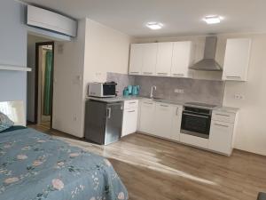 Kuchyňa alebo kuchynka v ubytovaní Tp Apartman + 10 fotografií