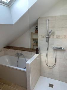 a bathroom with a shower and a bath tub at L'appartement du petit Bois in Mérinchal +6 photos