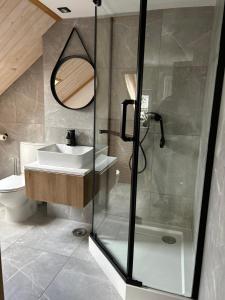 a bathroom with a shower and a sink and a mirror at Połoninka in Ustrzyki Górne