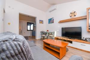 TV a/nebo společenská místnost v ubytování Apartment Denis