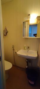 a bathroom with a sink and a toilet and a mirror at Kokonainen huoneisto olohuone makuualkovi ja keittiö ei suihkuh Iisalmen keskusta in Iisalmi