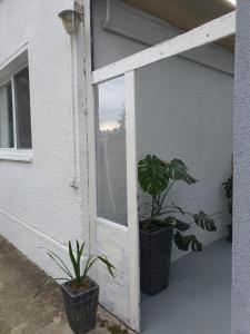 two potted plants sitting next to a door at Arónia in Piešťany