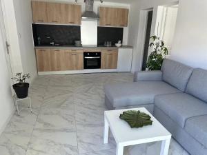 ein Wohnzimmer mit Couch und Tisch in der Unterkunft Appartement accueillant près de Paris, 45 m², terrasse in Tremblay En France