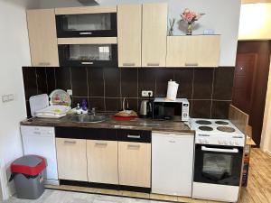 Kuchyň nebo kuchyňský kout v ubytování Apartman SkiBeg, Vlašić + 13 fotografií