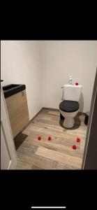 a bathroom with a toilet with red flowers on the floor at La grange de Livia in Ferrière-la-Grande