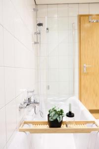 ein Badezimmer mit einer Badewanne mit einer Pflanze auf einem Regal in der Unterkunft MA Home - Ferienwohnung in Günzburg in Günzburg