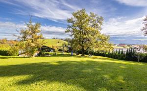 Afbeelding uit fotogalerij van Ferienwohnungen Appartements Bergwald in Scheidegg