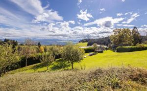 Afbeelding uit fotogalerij van Ferienwohnungen Appartements Bergwald in Scheidegg