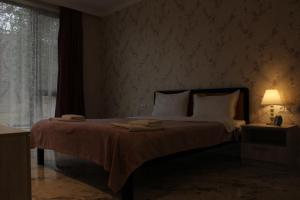 Voodi või voodid majutusasutuse Kvareli Oaks toas