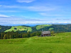 an old house on top of a green hill at Ferienwohnung Luna - Charmant und zentral im renovierten Insel-Altstadthaus in Lindau
