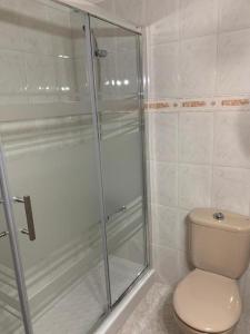 a bathroom with a shower and a toilet at Vacacional Tegueste 1ºA in Vecindario