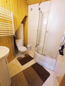 ein Badezimmer mit Dusche, Toilette und Waschbecken in der Unterkunft Садиба Чорногора in Jaremtsche + 12 Fotos