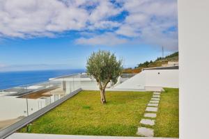 ein Baum auf dem Dach eines Hauses in der Unterkunft Villa Noelia Ocean View in Prazeres