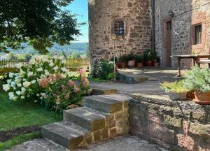 Zahrada ubytování ALTE FÖRSTEREI - Elegantes Apartment in der historischen Hinterburg Schlitz - nahe Fulda und Bad Hersfeld