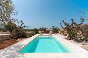 a swimming pool in a yard with trees at Trullo dei Beneficati By Vivimy in Taviano
