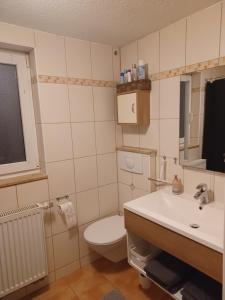 a bathroom with a toilet and a sink at Ferienhaus Anna Altstadt von Sonneberg in Sonneberg +25 photos