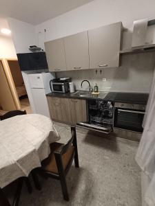 Kuchyň nebo kuchyňský kout v ubytování Apartments Lana