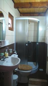 バドゥ・イゼイにあるPensiunea Ileana Telepteanのバスルーム(シャワー、トイレ、シンク付)