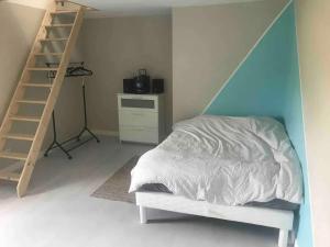 a bedroom with a bed and a ladder next to a shelf at Spacieuse maison de vacances à Saint-Aubin avec 5 chambres in Saint-Aubin