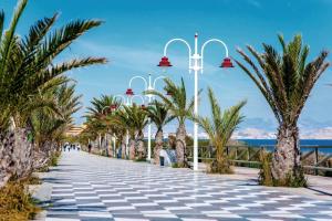 einen Gehweg mit Palmen und Straßenbeleuchtung in der Unterkunft Adosado familiar Novamar 33 in Santa Pola