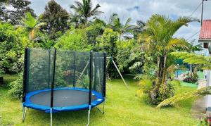 ル・タンポンにあるVilla A-Bleuの庭の草の上のトランポリン