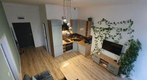 an apartment kitchen with a sink and a tv at Apartament Green Loft Centrum in Grudziądz