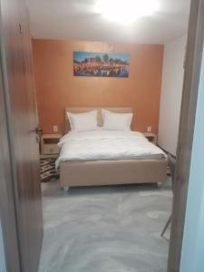 Postel nebo postele na pokoji v ubytování Casa Muresan