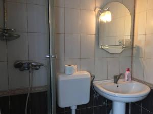 a bathroom with a shower and a sink and a mirror at Vila cu vedere spre Bucegi in Predeal