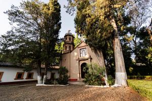 Zahrada ubytování Best Western Plus Posada de Don Vasco
