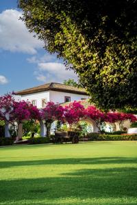 Zahrada ubytování Best Western Plus Posada de Don Vasco