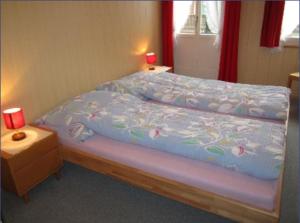 Postel nebo postele na pokoji v ubytování Hotel Montana + 12 fotografií