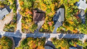 an aerial view of a road with trees at Strasse Ski Chalet Hot Tub Dog-Friendly Skiing in Bartlett +39 photos