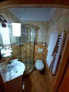 Koupelna v ubytování Hotel Claudiu