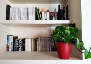 a book shelf with a plant in a red vase at La Casetta del Lago in Lovere