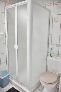 a bathroom with a shower with a toilet at Gîte La Maison Bleue in Bergheim +17 photos