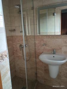 a bathroom with a sink and a shower at Къща за гости Билдникс in Malko Tŭrnovo +16 photos
