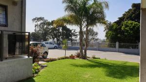 un patio con palmeras y un coche en un aparcamiento en Innikol 38, en Mossel Bay