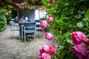 Giardino di Ballyroe Lodge