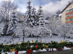 a group of christmas trees covered in snow at Little Bear Busteni 3 - Închiriere integrală, cameră de jocuri, parcare privată, potrivită și pentru munca la distanță in Buşteni +56 photos