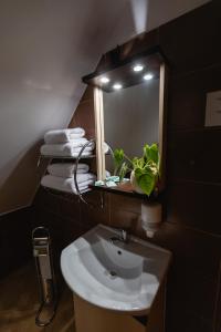 a bathroom with a sink and a mirror at Hotel Aslan in Tarnowskie Góry +30 photos