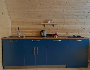 a kitchen with blue cabinets and a wooden wall at Aura Gudauri in Gudauri