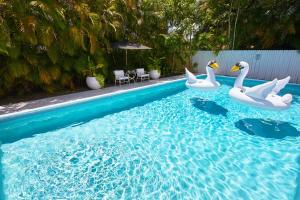 Trois cygnes dans l'eau d'une piscine dans l'établissement Miami Pool Cottage, tropical garden paradise, à Miami