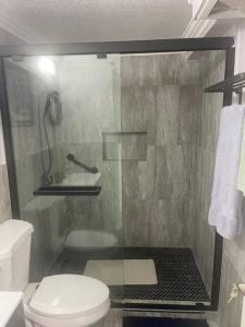 a bathroom with a shower with a toilet and a sink at Idyllic escape in Mandeville +6 photos