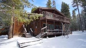 Timbers at Island Park v zimě