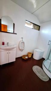 a bathroom with a sink and a toilet and a mirror at Utasa del Titicaca in Puno