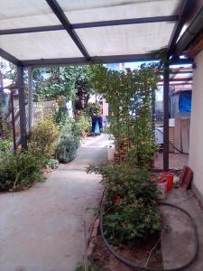 Ảnh trong thư viện ảnh của Teranuovo ở Belgrade