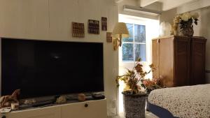 Televízia a/alebo spoločenská miestnosť v ubytovaní PARIS AUTHENTIC HOUSE studio with green courtyard 12 rue labourse Gentilly 94250